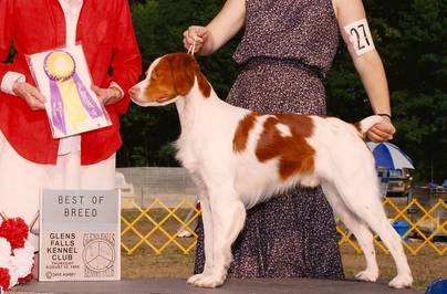 Ch. Loki's I'm Just A Kid winning a best of breed at Ballston Spa, NY in 1996